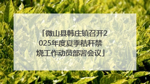微山县韩庄镇召开2025年度夏季秸秆禁烧工作动员部署会议