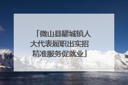 微山县驩城镇人大代表履职出实招精准服务促就业