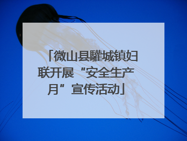 微山县驩城镇妇联开展“安全生产月”宣传活动