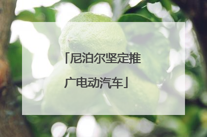 尼泊尔坚定推广电动汽车