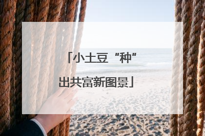 小土豆“种”出共富新图景
