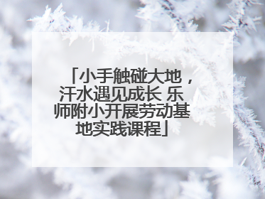 小手触碰大地，汗水遇见成长 乐师附小开展劳动基地实践课程