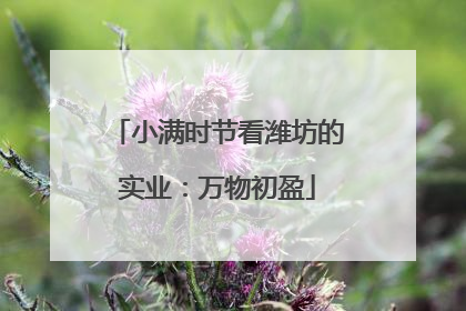 小满时节看潍坊的实业：万物初盈