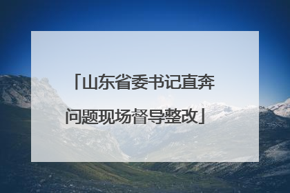 山东省委书记直奔问题现场督导整改