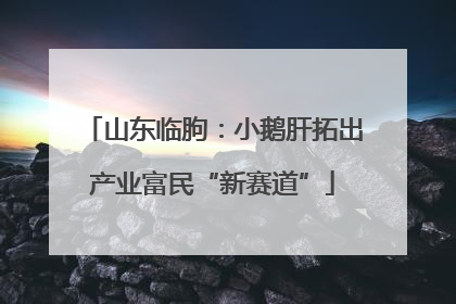 山东临朐：小鹅肝拓出产业富民“新赛道”