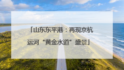 山东东平港：再现京杭运河“黄金水道”盛景