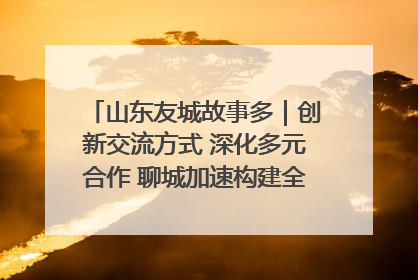 山东友城故事多｜创新交流方式 深化多元合作 聊城加速构建全球友城新格局