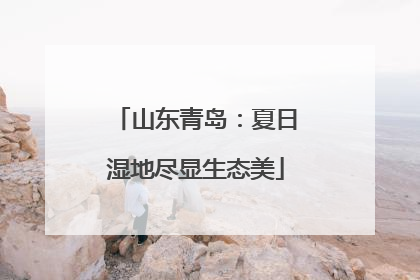 山东青岛：夏日湿地尽显生态美
