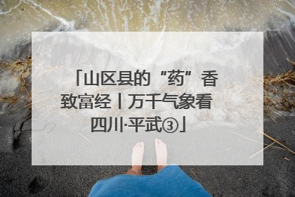 山区县的“药”香致富经丨万千气象看四川·平武③