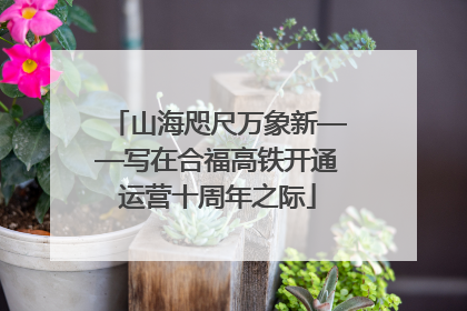 山海咫尺万象新——写在合福高铁开通运营十周年之际