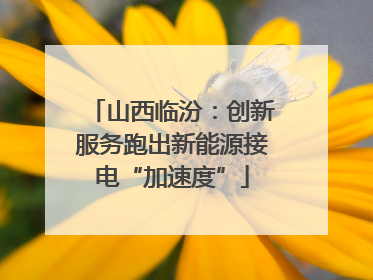 山西临汾：创新服务跑出新能源接电“加速度”