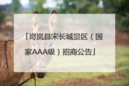 岢岚县宋长城景区（国家AAA级）招商公告