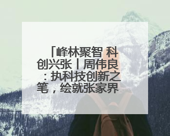 峰林聚智 科创兴张丨周伟良：执科技创新之笔，绘就张家界药谷新篇