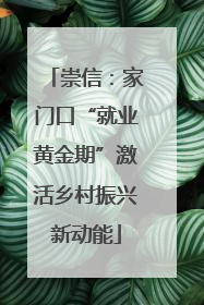 崇信：家门口“就业黄金期”激活乡村振兴新动能