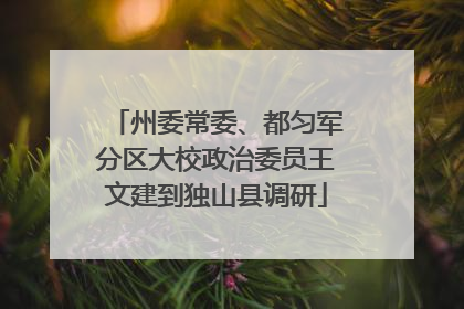州委常委、都匀军分区大校政治委员王文建到独山县调研