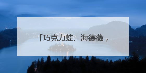 巧克力蛙、海德薇，北京地铁站内可以买到“魔法”交通卡了