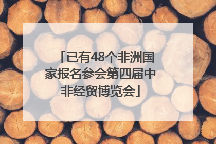 已有48个非洲国家报名参会第四届中非经贸博览会