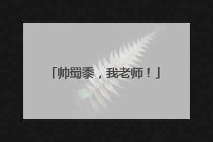 帅蜀黍，我老师！