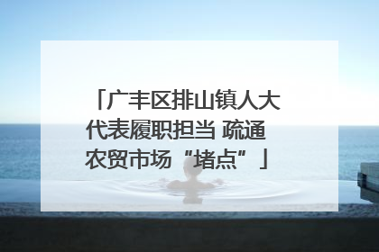 广丰区排山镇人大代表履职担当 疏通农贸市场“堵点”