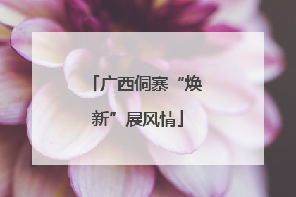 广西侗寨“焕新”展风情