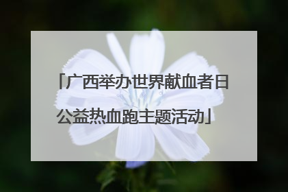 广西举办世界献血者日公益热血跑主题活动