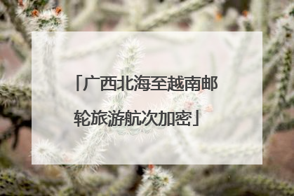 广西北海至越南邮轮旅游航次加密