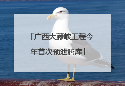 广西大藤峡工程今年首次预泄腾库