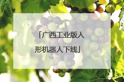 广西工业版人形机器人下线