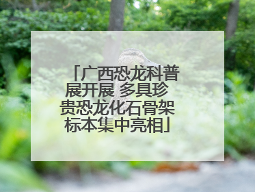 广西恐龙科普展开展 多具珍贵恐龙化石骨架标本集中亮相