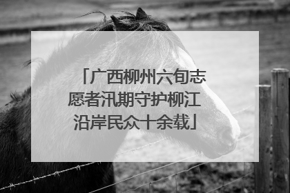 广西柳州六旬志愿者汛期守护柳江沿岸民众十余载