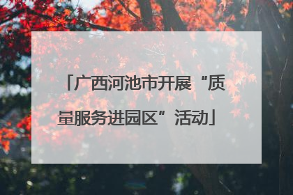 广西河池市开展“质量服务进园区”活动