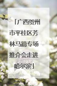 广西贺州市平桂区芳林马蹄专场推介会走进哈尔滨
