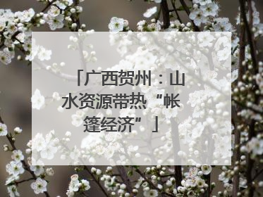 广西贺州：山水资源带热“帐篷经济”