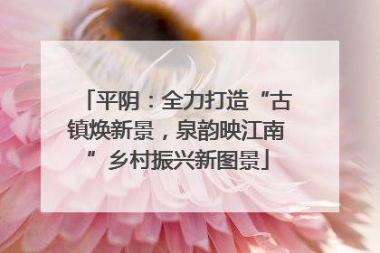 平阴：全力打造“古镇焕新景，泉韵映江南”乡村振兴新图景