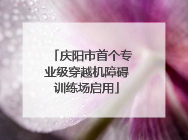 庆阳市首个专业级穿越机障碍训练场启用