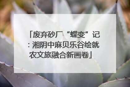 废弃砂厂“蝶变”记：湘阴中麻贝乐谷绘就农文旅融合新画卷