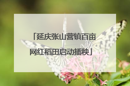 延庆张山营镇百亩网红稻田启动插秧