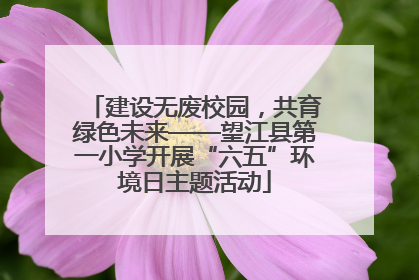 建设无废校园，共育绿色未来——望江县第一小学开展“六五”环境日主题活动