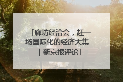 廊坊经洽会，赶一场国际化的经济大集｜新京报评论