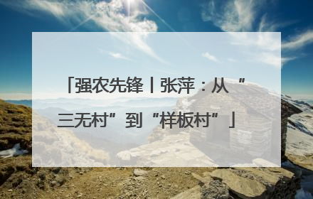 强农先锋丨张萍：从“三无村”到“样板村”
