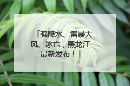强降水、雷暴大风、冰雹，黑龙江最新发布！