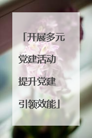开展多元党建活动 提升党建 引领效能