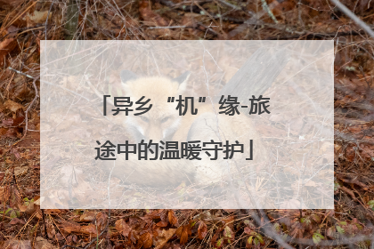 异乡“机”缘-旅途中的温暖守护