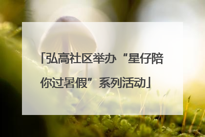 弘高社区举办“星仔陪你过暑假”系列活动