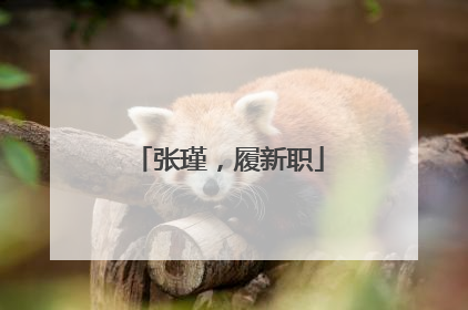 张瑾，履新职