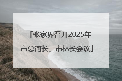 张家界召开2025年市总河长、市林长会议