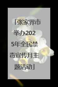 张家界市举办2025年全民禁毒宣传月主题活动