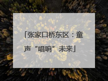 张家口桥东区：童声“唱响”未来