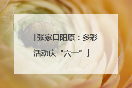 张家口阳原：多彩活动庆“六一”