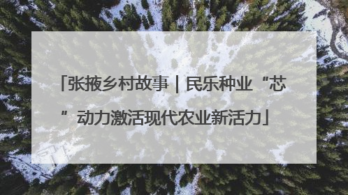 张掖乡村故事｜民乐种业“芯”动力激活现代农业新活力